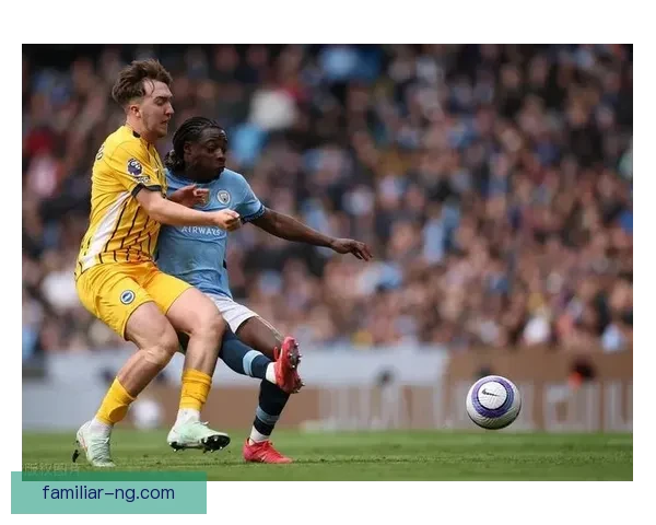 布莱顿俱乐部宣布新赛季目标 积极引援力争英超前八名